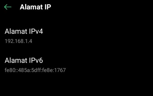 Cara Mengetahui IP Orang Lain dengan Termux
